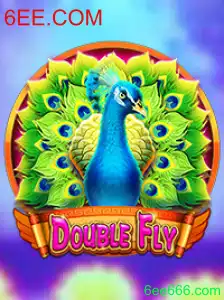 Explorando o Mundo de DoubleFly: Jogo Inovador da 6EE.COM